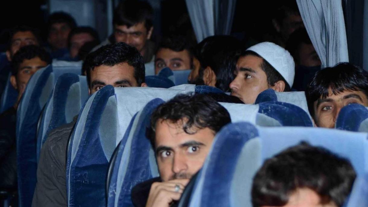 در ترکیه باز هم مهاجرین قاچاق افغان دستگیر شدند