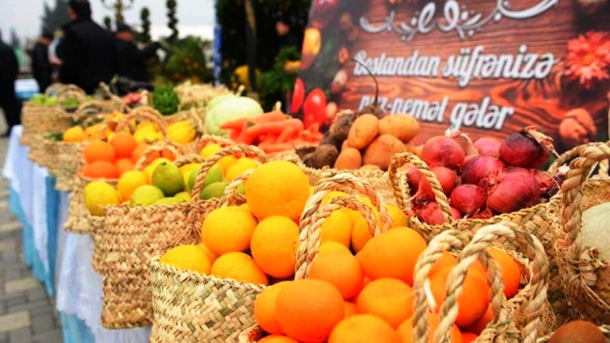 Lənkəranda III Çay, Çəltik, Sitrus Festivalı