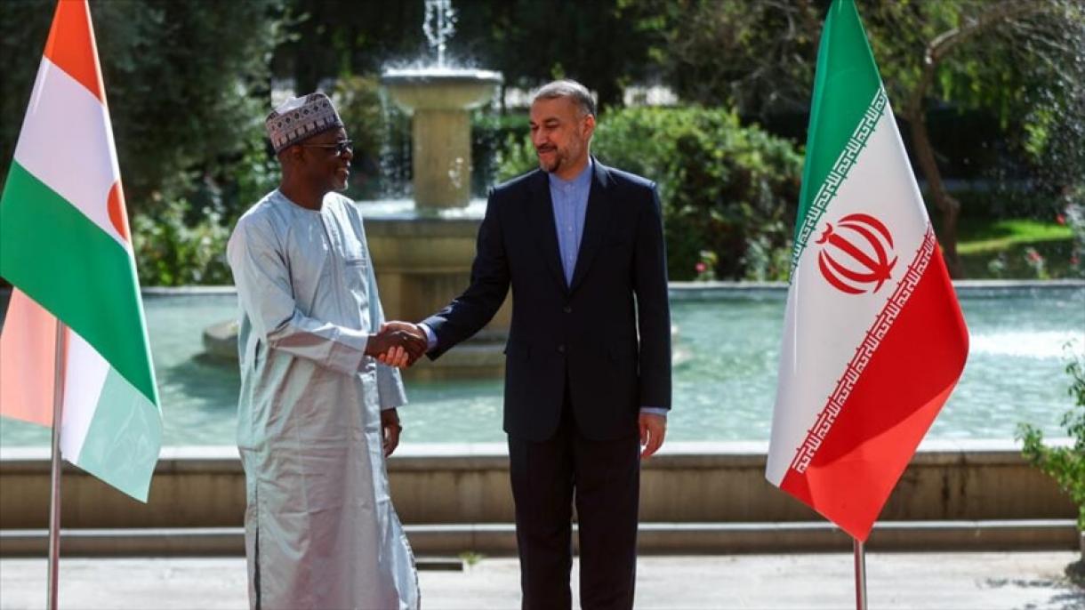 وزیر خارجه ایران با همتای نیجری خود در تهران دیدار و گفت‌وگو کرد