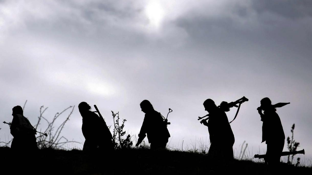 سویڈن، PKK سے منسلک خواتین کی ایک انجمن کو مقامی بلدیہ کا سخت انتباہ