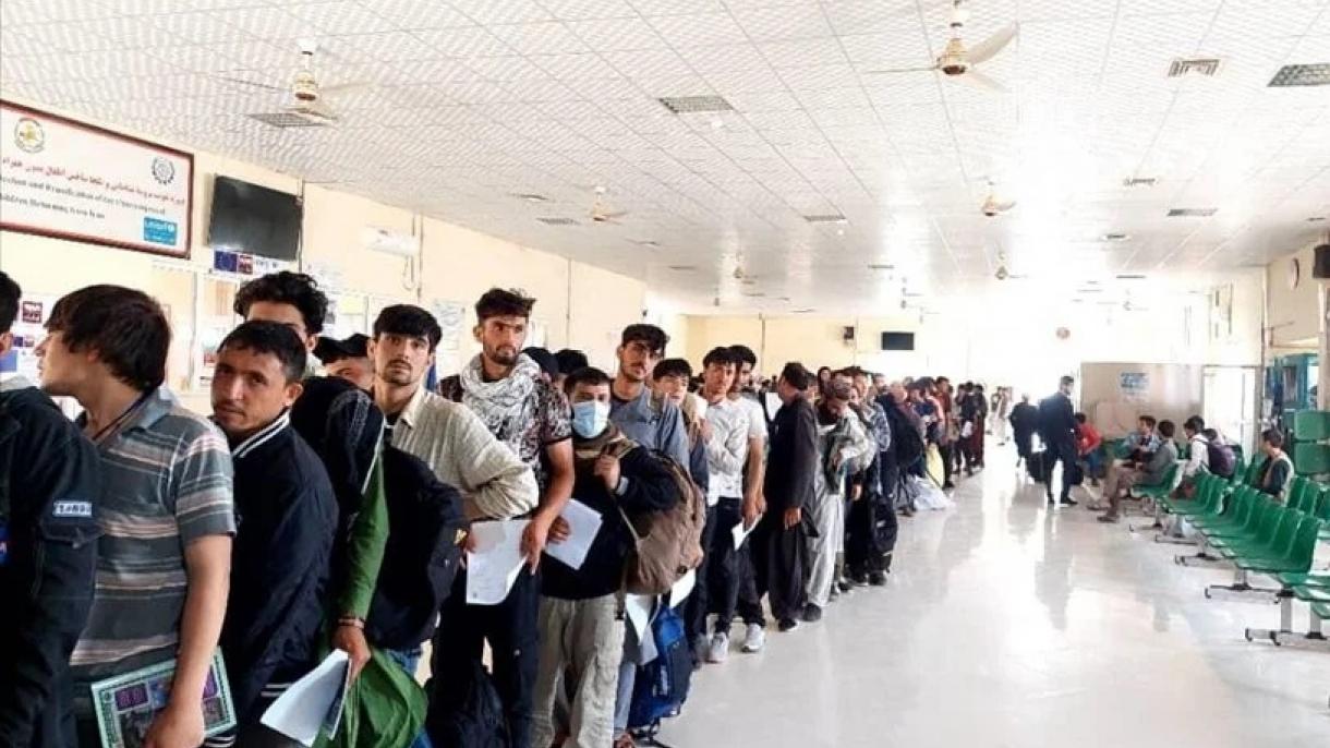 ظرف ماه های اخیربه تعداد بیشتراز65 هزارمهاجرافغان ازایران بوطن بازگشته اند
