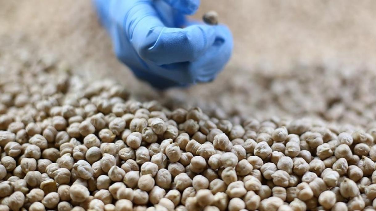 Törkiyӓneň soňğı 3 yıldağı noğıtsımannar êksportı 1 milliard dollarğa citte