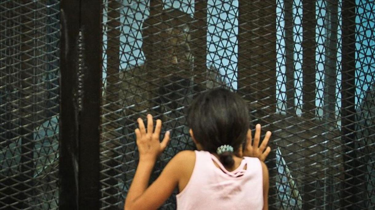 مصر میں 10 دنوں میں 49 قیدی پھانسی کے پھندے پر لٹکا دیے گئے
