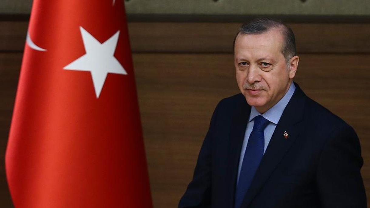 埃尔多昂：公投结果表明土耳其可战胜各种危机