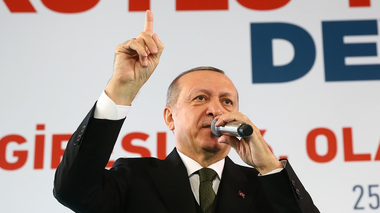 Erdogan: Od početka operacije "Maslinova grana" neutralizirano 3.747 terorista