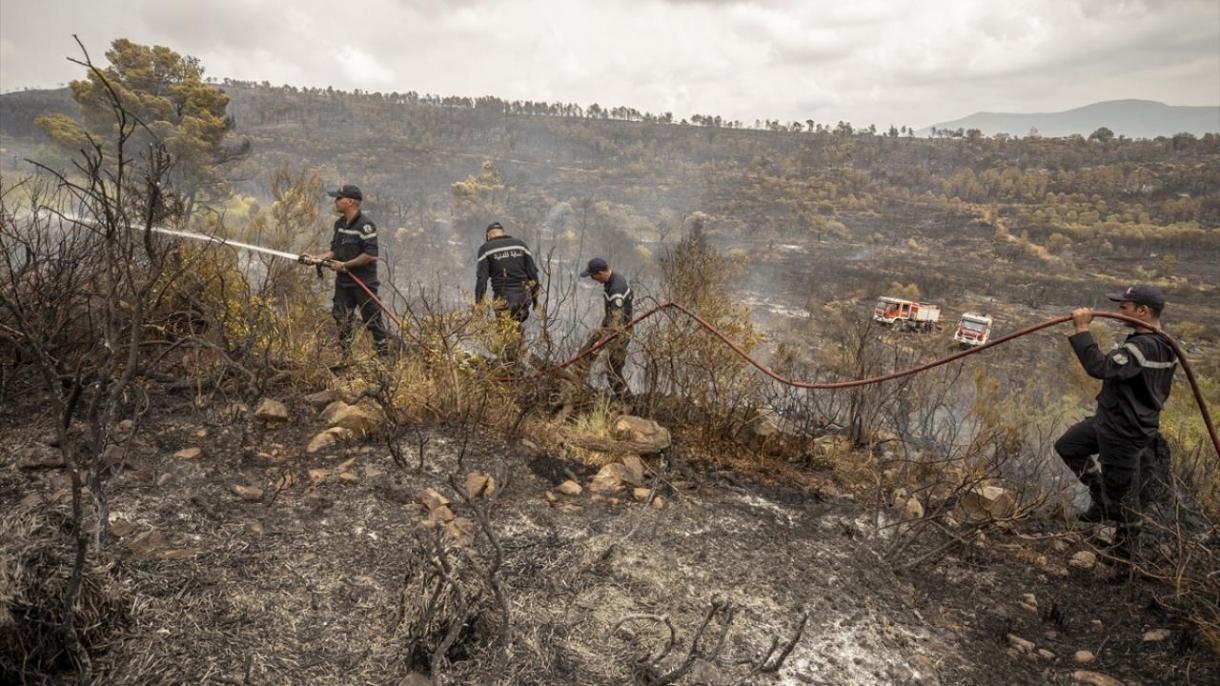 Algeria, sale a 43 vittime il numero di persone che hanno perso la vita negli incendi