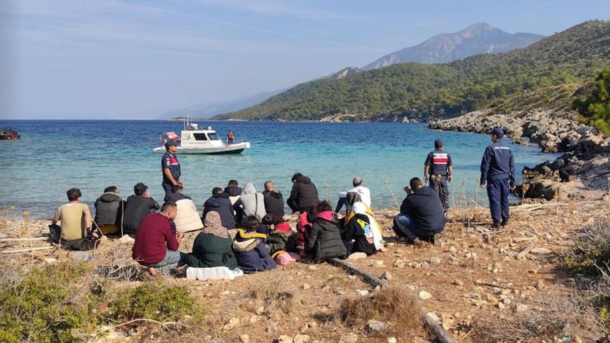 در تورکیه ده ها مهاجر غیر قانونی از خطر غرق شدن نجات داده شدند