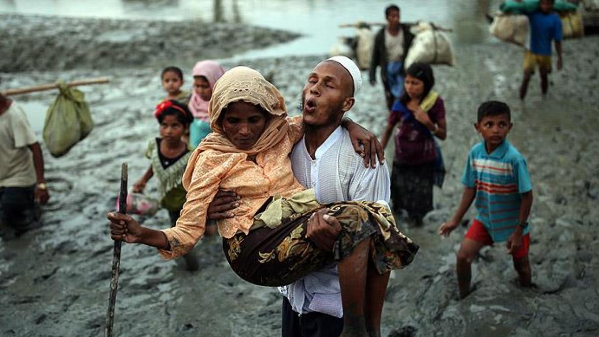 روہنگیا مسلمانوں کے خلاف جاری فوجی آپریشن نسلی کشیکے مترادف ہے : انسانی حقوق کے عہدیدار
