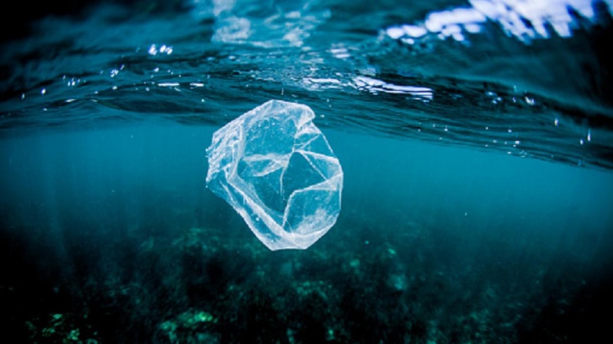 El plástico que flota en océanos ha incrementado más de cien veces en 40 años