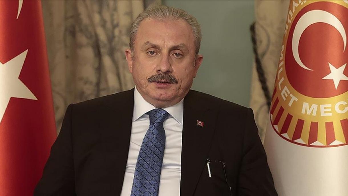رئیس مجلس ترکیه به گرجستان سفر کرد