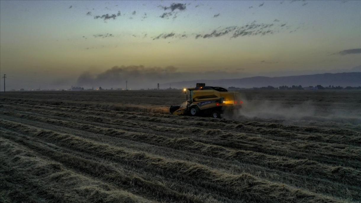 Nuevo informe del Banco Mundial destaca los efectos del cambio climático en la economía de Argentina