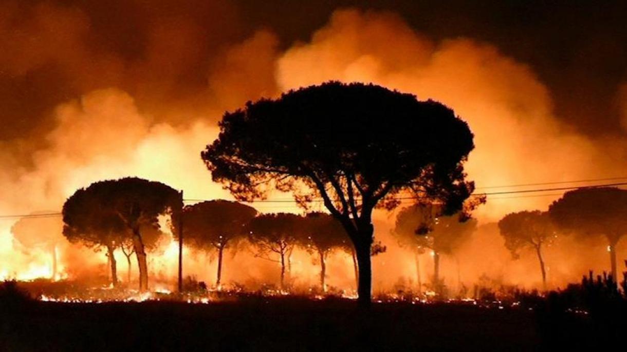 西班牙莫格尔居民区附近发生森林大火
