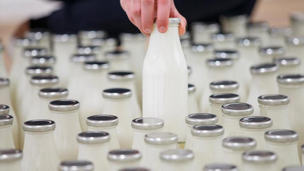 صادرات شیر ایران به آمریکا از سرگرفته شد