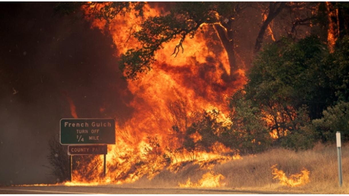 Kaliforniyadakı meşə yanğınlarında 50 min nəfər evini tərk etdi