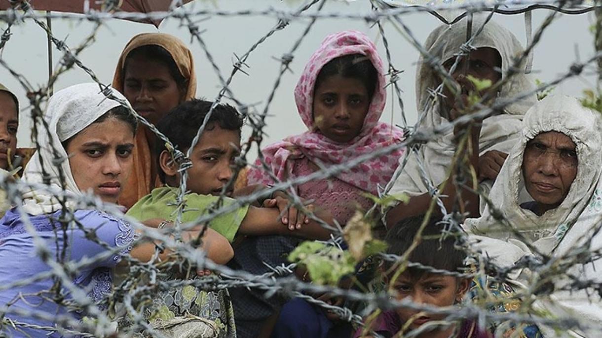 مسئلہ میانمار کا حل بنگلہ دیش میں نہیں میانمار میں ہے، ٹام اینڈریوز