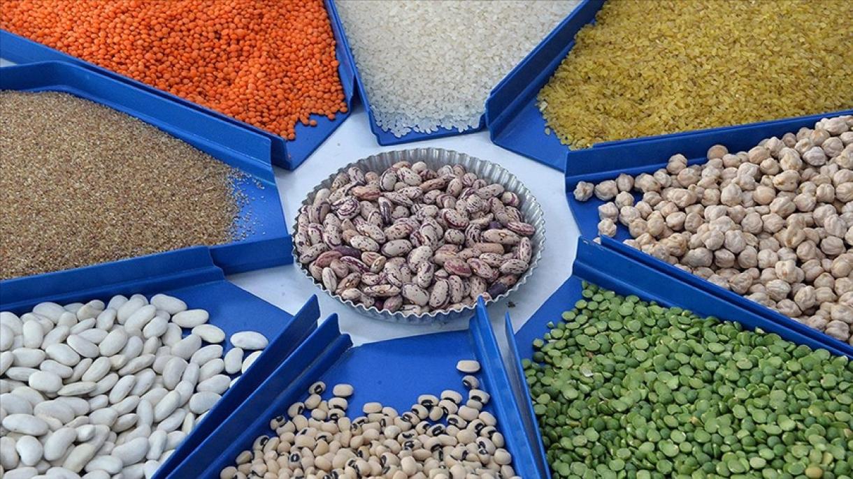 ترکیہ: 2023 میں اناج کی برآمدات 12،4 بلین ڈالر رہیں