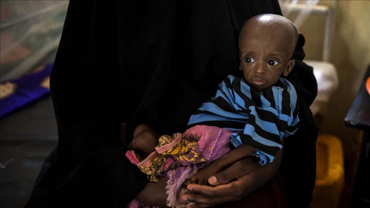 Eddig 149 életet követelt Nigériában a kolerajárvány