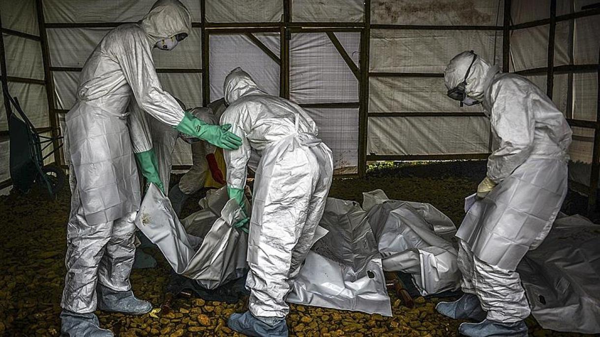 Конгодо эбола эпидемиясы кайрадан чыкты