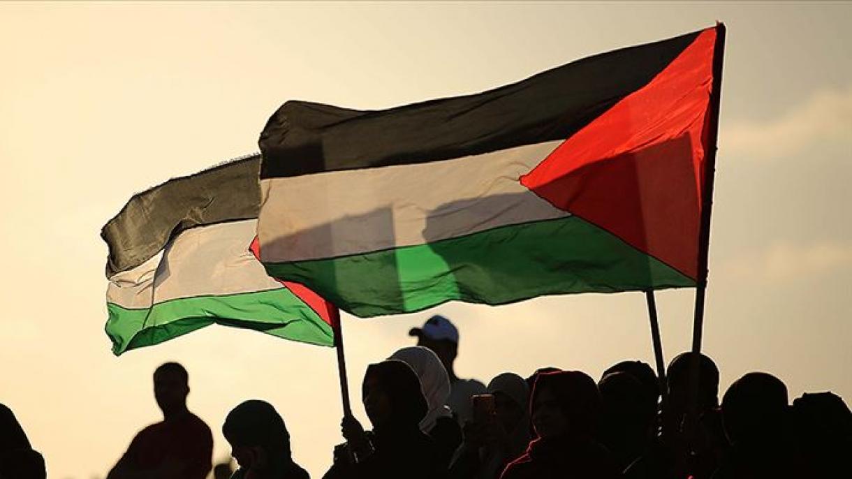 巴勒斯坦对安理会的双重标准表示不满