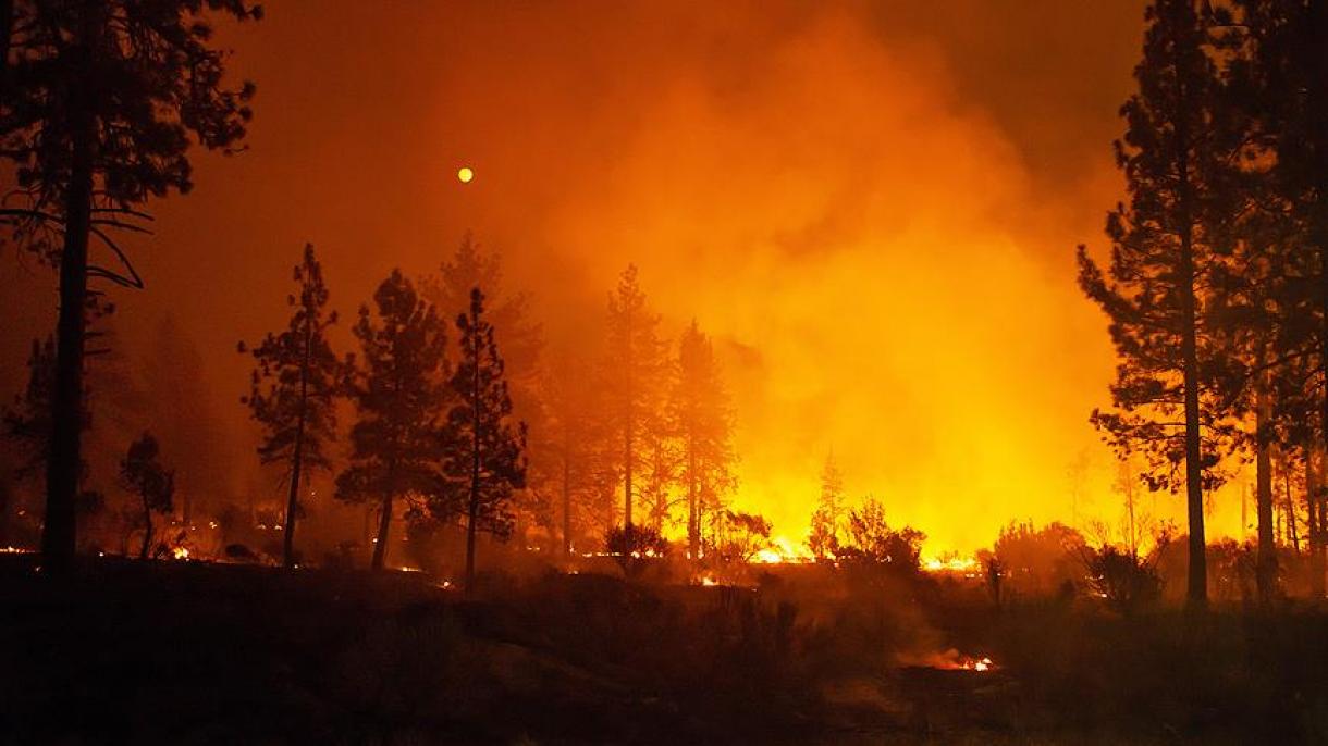 美国加州火灾尚未得到控制 5万多人被转移