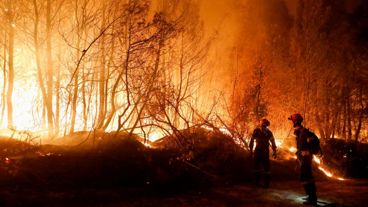 آتش‌سوزی جنگلی در شبه‌جزیره مورای یونان ادامه دارد