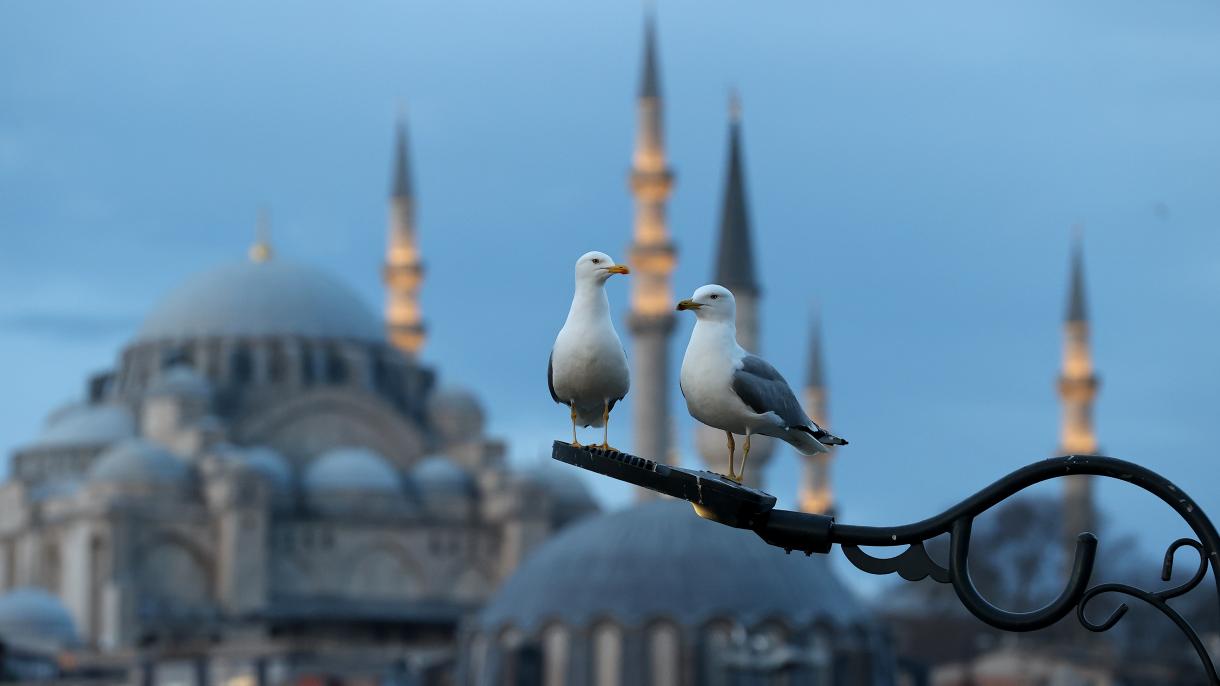 Jutro u Istanbulu, gradu na dva kontinenta (FOTO)