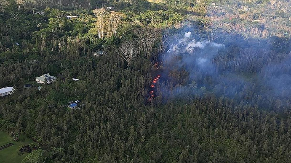 美国夏威夷州发生森林大火