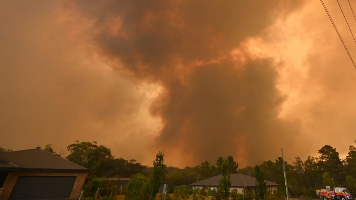 آسٹریلیا کی جنگلاتی آگ،ہلاک شدگان کی تعداد 20 ہو گئی