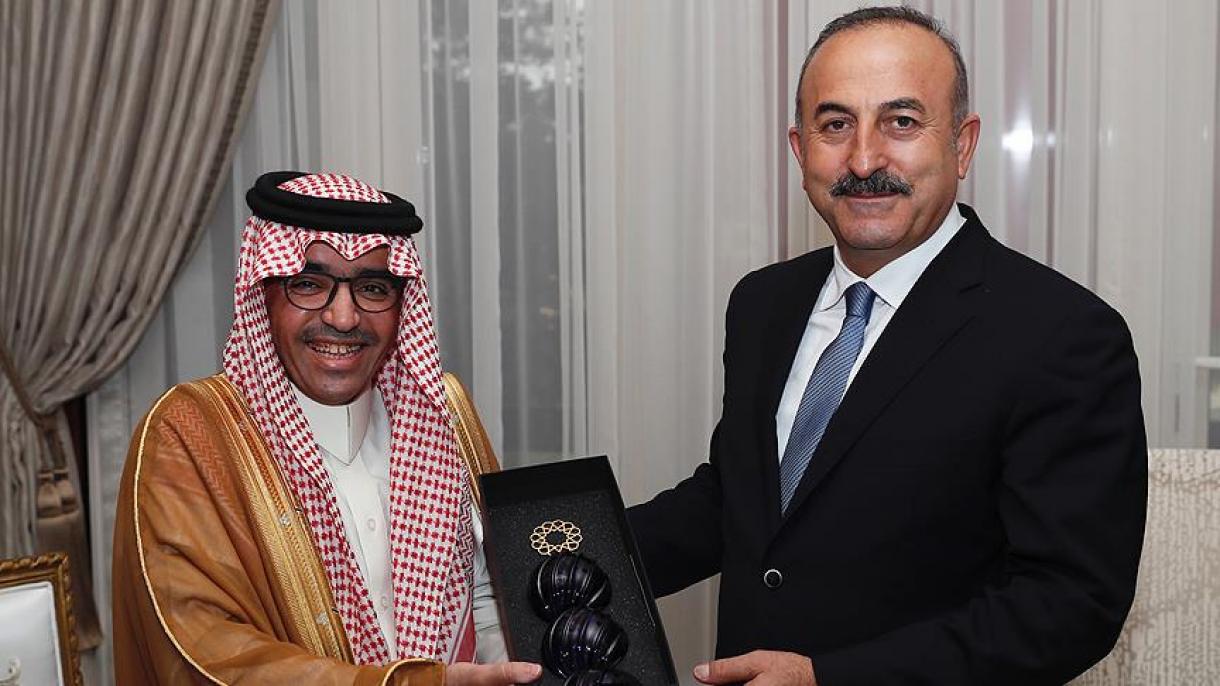 土耳其外长会见阿拉伯旅游组织主席