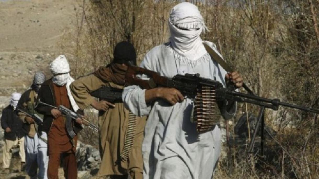 طالبان شکار ماین خود شدند