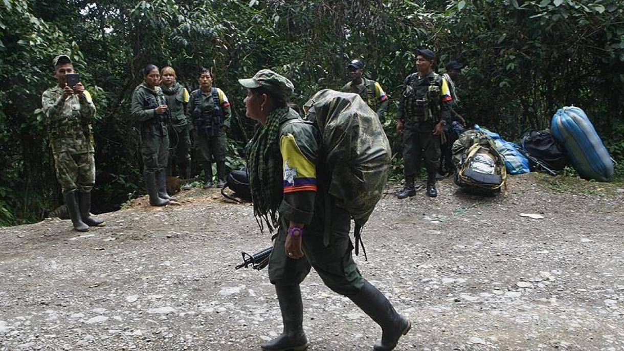 کولمبیا انقلابی مسلح  فورسز کے 3 ہزار 252 اراکین کو معاف کر دیا گیا