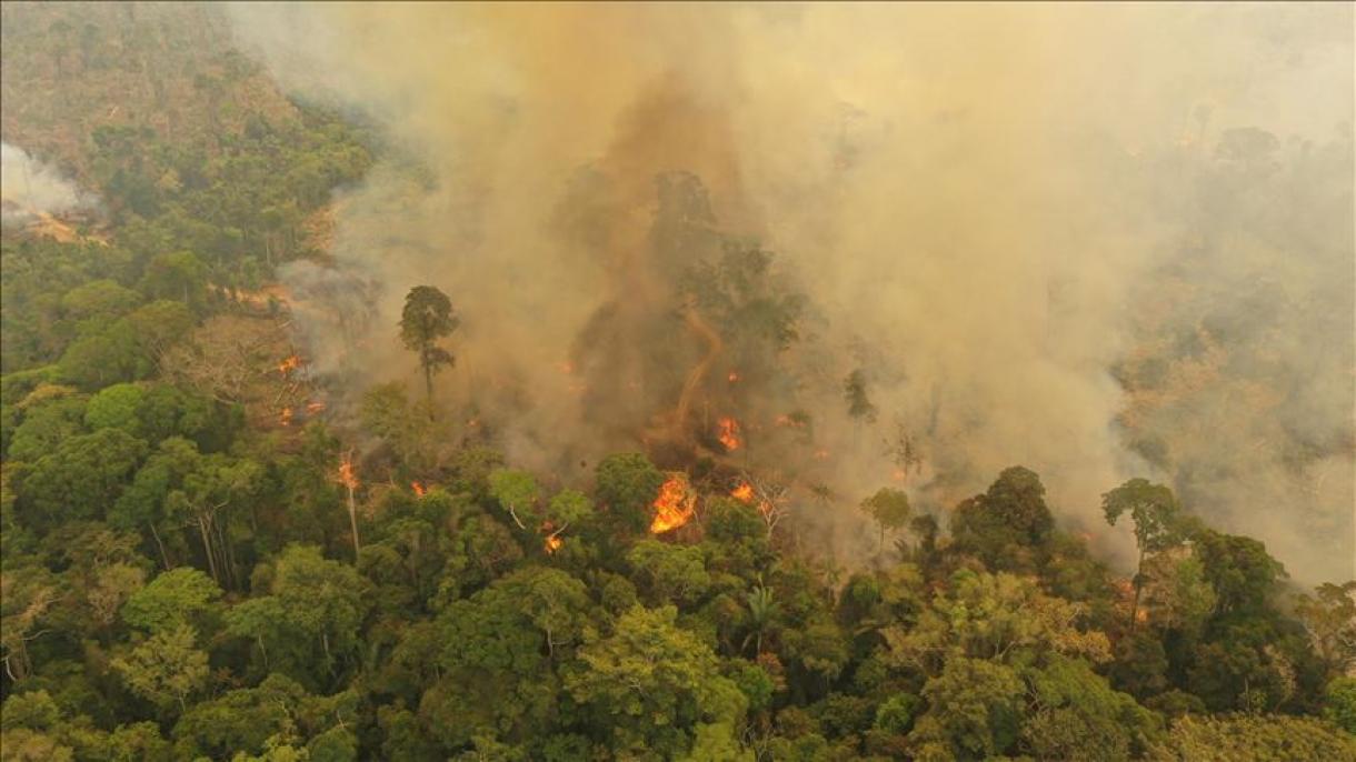 Brasil: incendios en la Amazonía estarían siendo usados para consolidar la deforestación ilegal