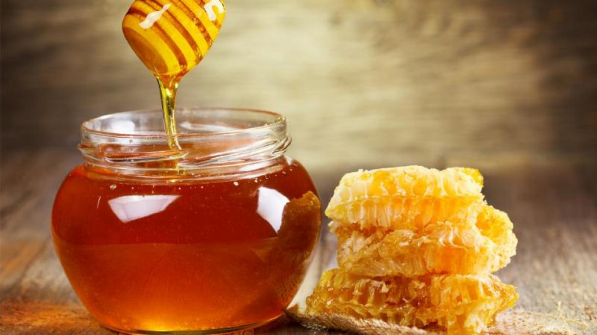 Esportazione di 32 milioni di dollari di miele turco nel 2023