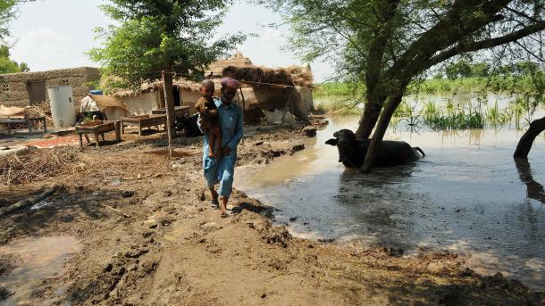 巴基斯坦强暴雨引发洪灾致34人死亡