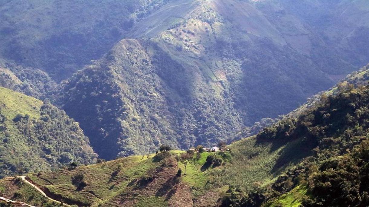 Sube a 11 la cifra de muertos al voltearse puente colgante en Colombia