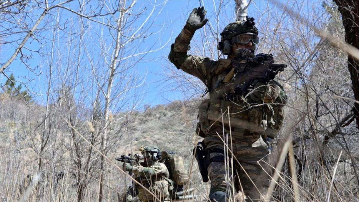 Fuerzas Armadas Turcas neutraliza a más de 20 terroristas en Birecik