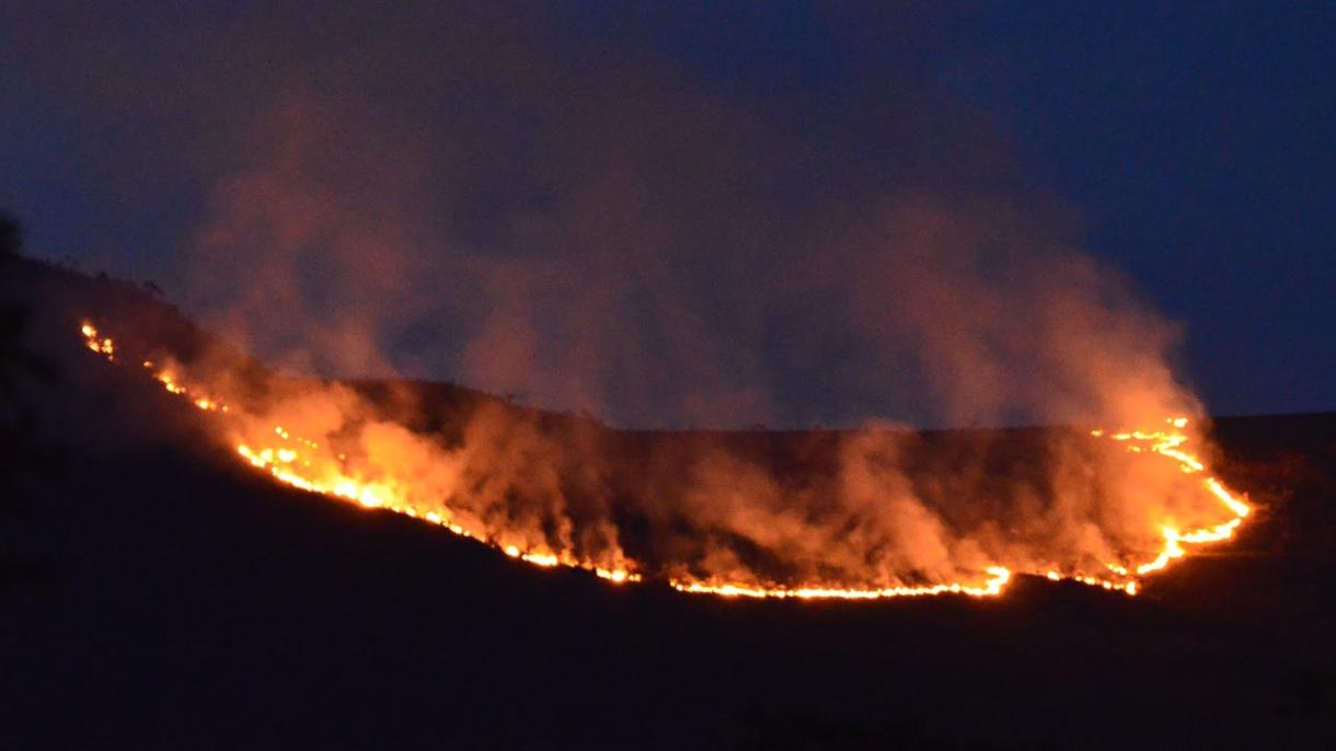 巴西一国家公园大火 疑似人为纵火