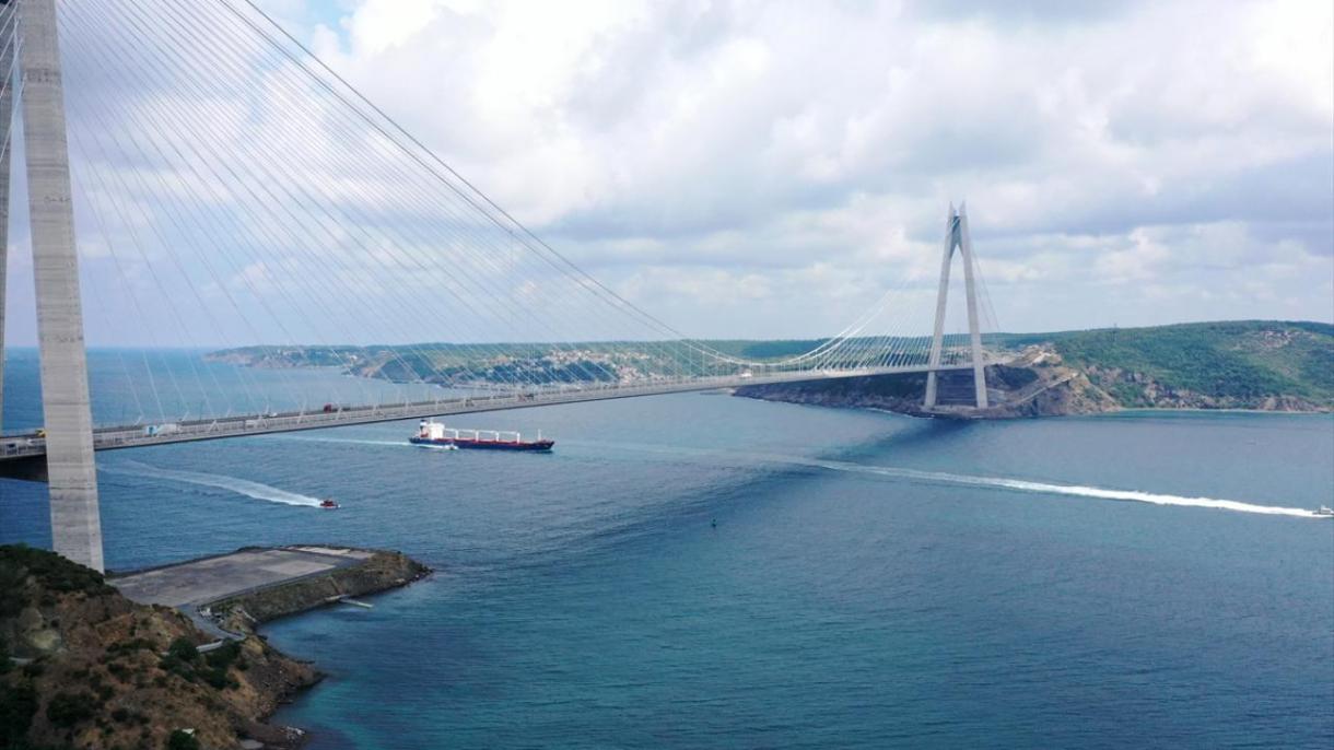 El Pacto de Grano asegurará la caída global de precios gracias a los esfuerzos de Turquía