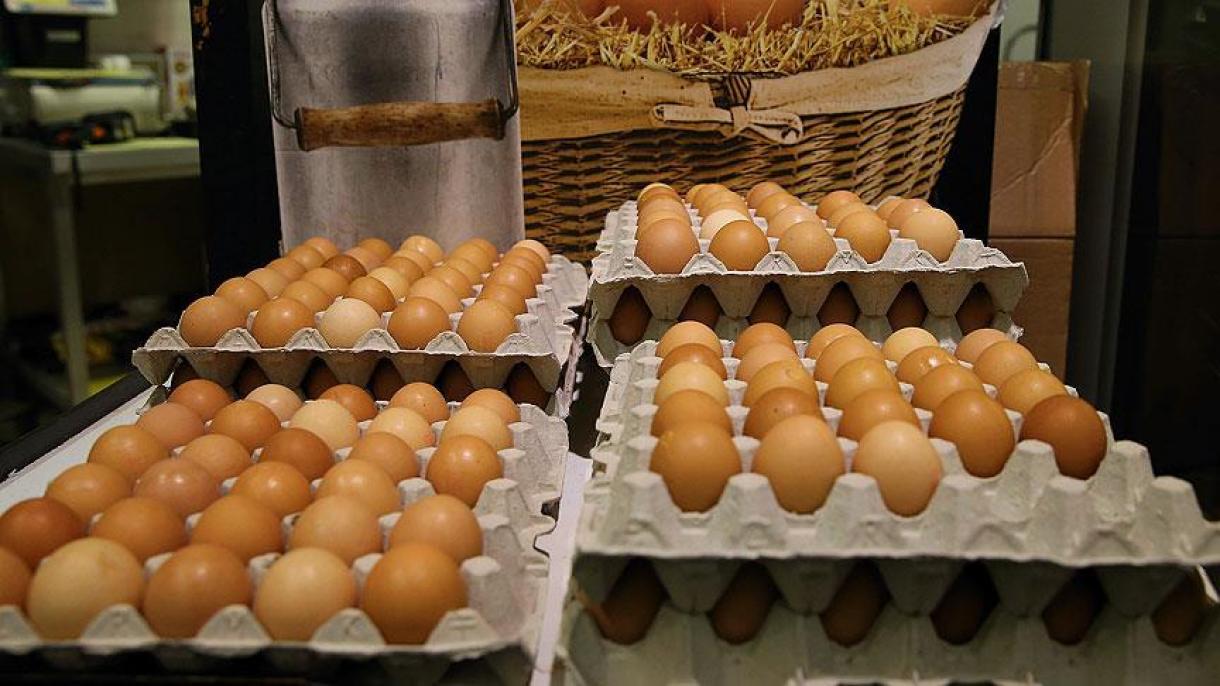 荷兰政府认同众议院毒鸡蛋的指控