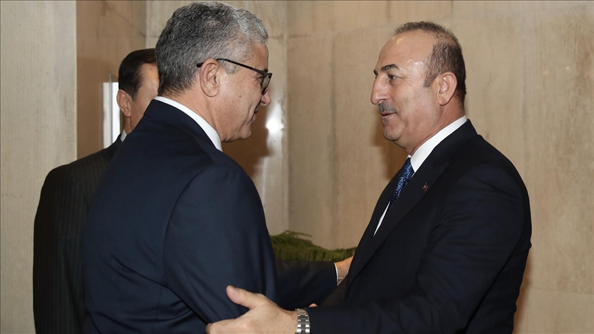 ترک وزیر خارجہ کا لیبیائی وزیر داخلہ سے اظہارِ یکجہتی