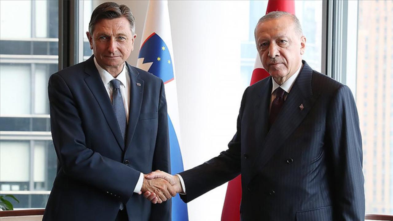Ердоган се срещна с Пахор