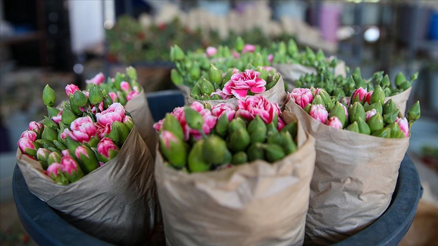 تورکیه امسال بمقدار 125 میلیون دالر گل صادر کرد