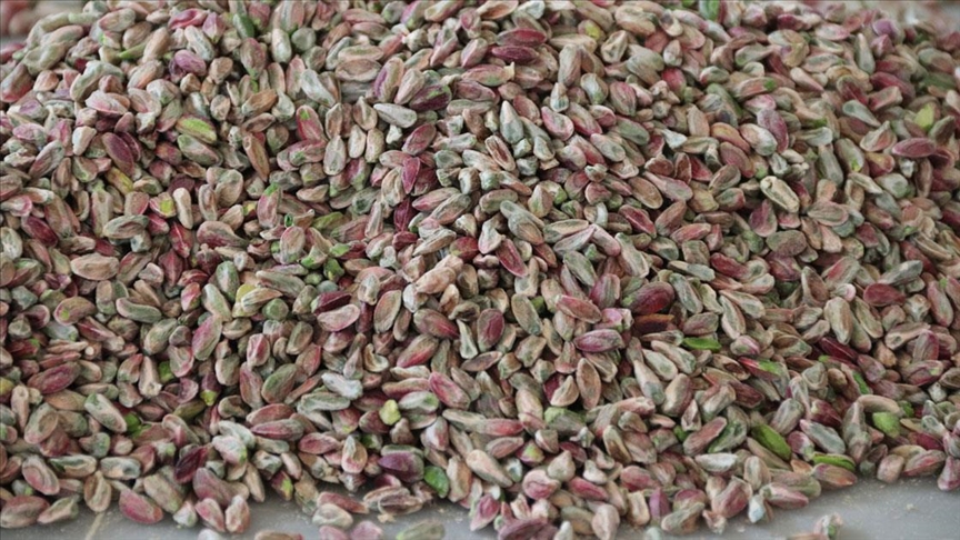 Turquía exporta pistacho a 105 países, entre ellos Cuba