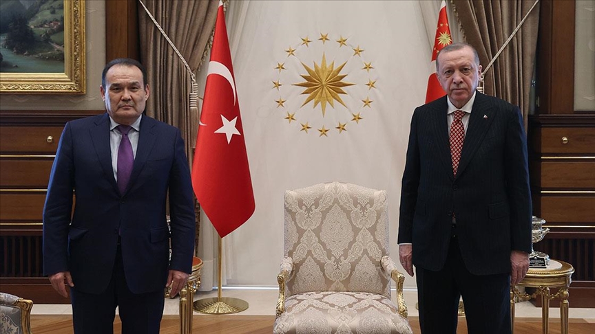 اردوغان دبیرکل شورای ترک را به حضور پذیرفت