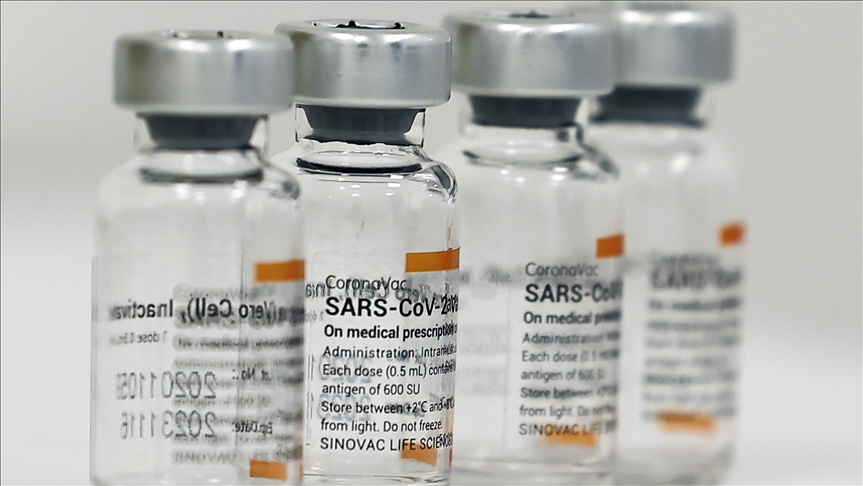 Sinovac anuncia que su vacuna es segura para niños desde los 3 años de edad