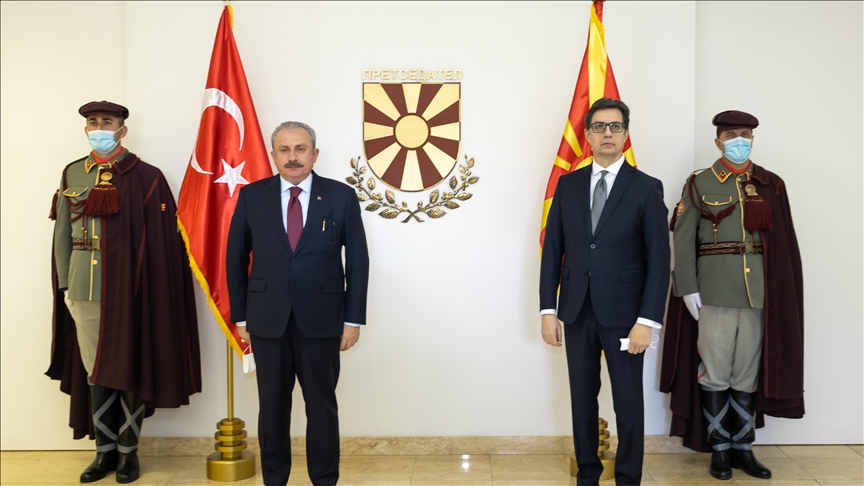 رئيس مجلس ترکیه با رئيس‌جمهور مقدونیه شمالی دیدار کرد