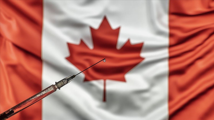 Kompania kanadeze prodhon vaksinën antiCovid me bazë bimore