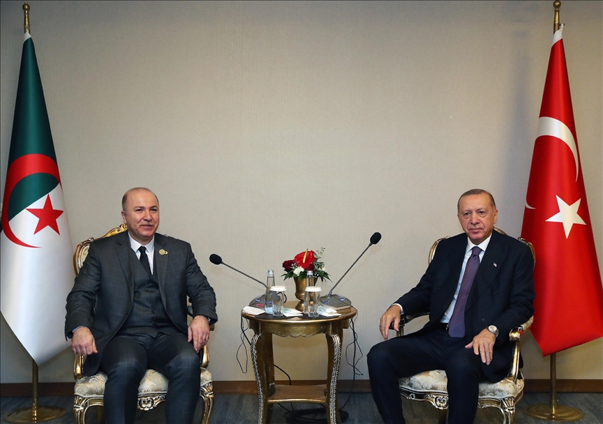 土耳其总统会见出席土-非伙伴峰会的非洲领导人