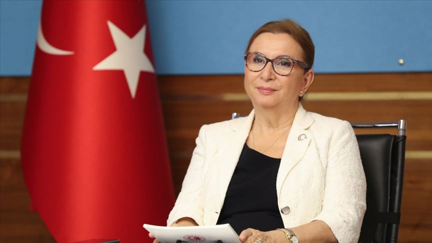 ترکی کا اسٹریٹجیک ہدف یورپی یونین کی مستقل رکنیت ہے: وزیر تجارت روحصار پیکجان