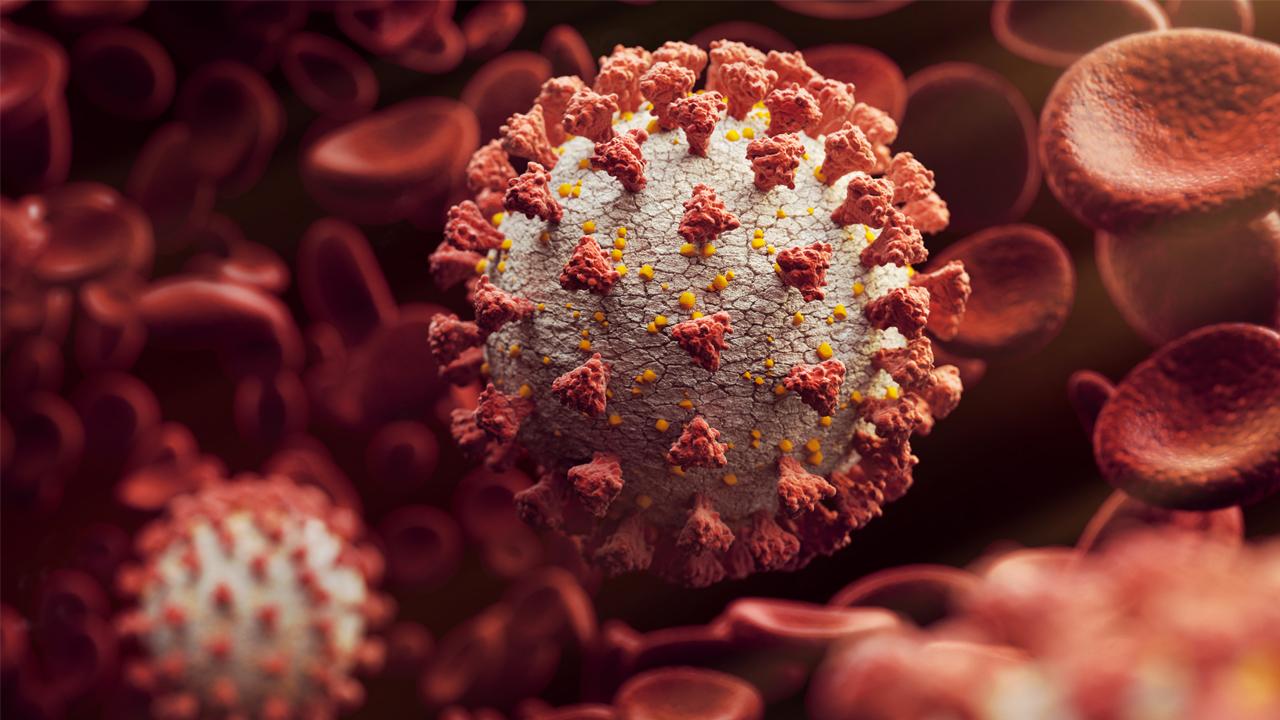 سویه جدیدی از ویروس کووید-19 در فرانسه شناسایی شد